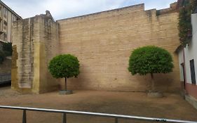 Los Patios de Cordoba